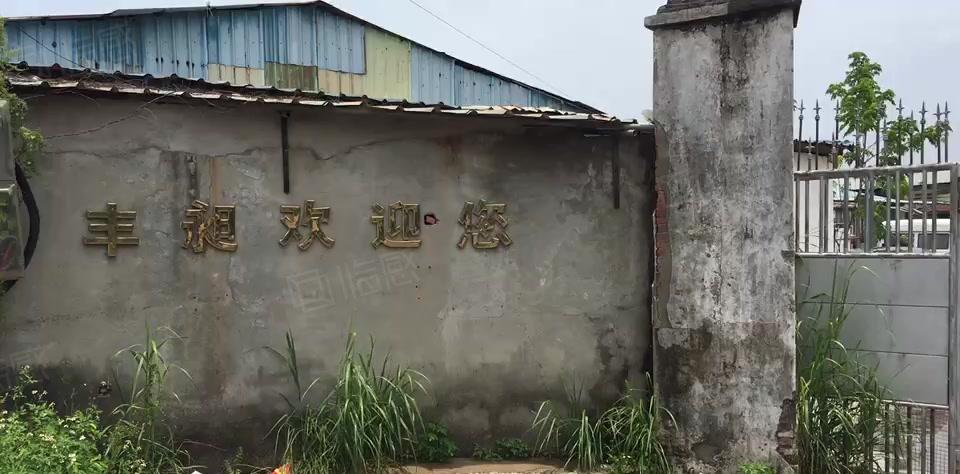 沙田西太隆独门独院厂房出租厂房加办公室一共2800方可分租