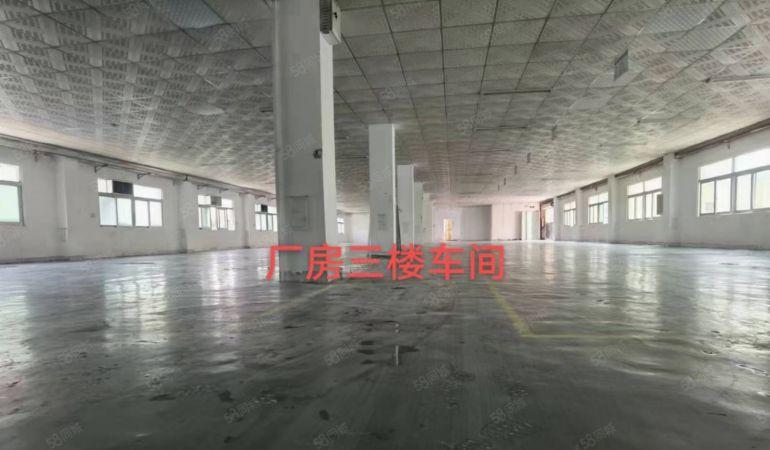 沙田镇本地佬新空出来独门独院三层厂房出租空地超大