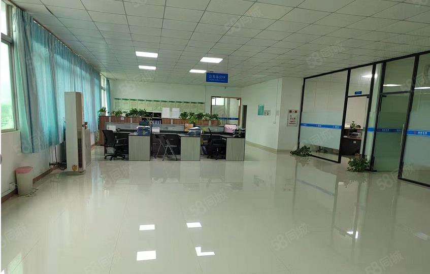 D9 137 9822 0787沙田进港南路TIP工业园厂房