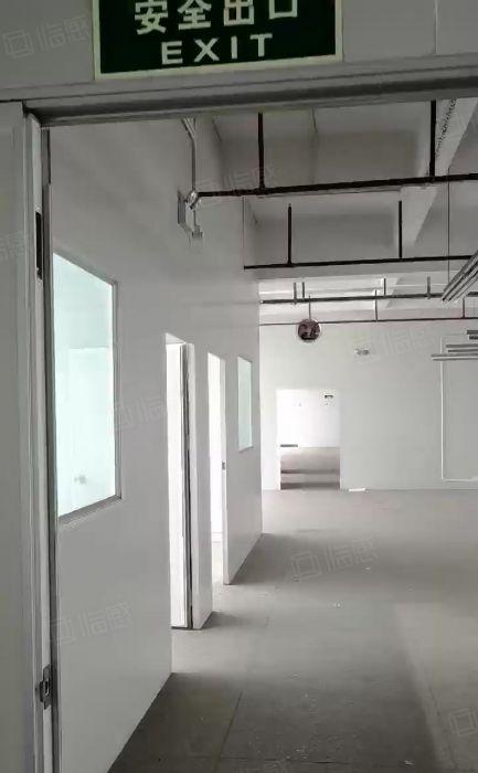 沙田镇杨公洲原房东精装办公 现成水电 独院厂房出租可分租