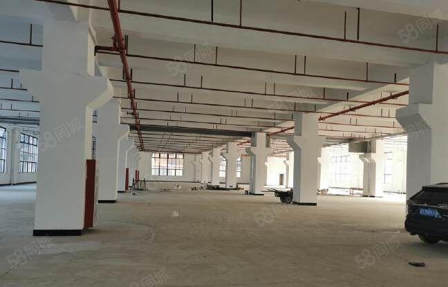 原房东独院标准厂房出租15000平方带红本证件齐全