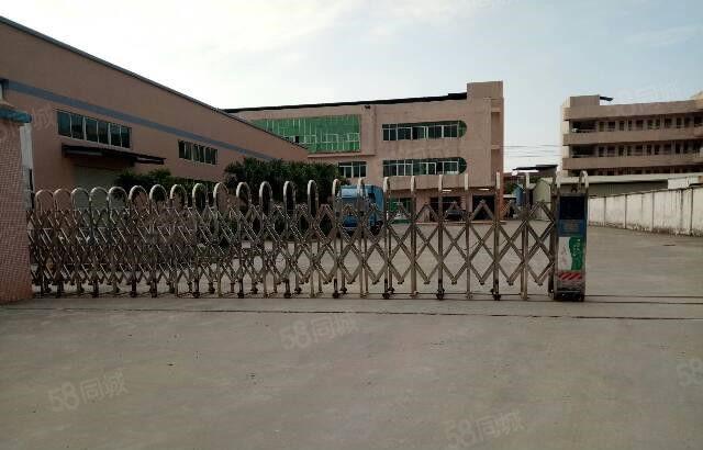 新出全新钢构厂房3100平方 空地超大，可进大车