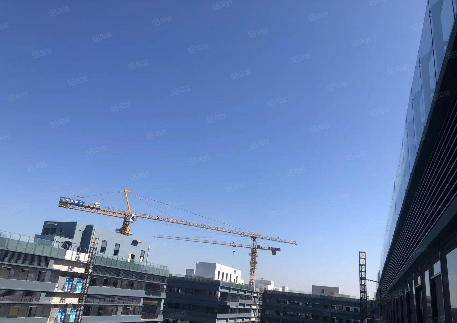 信鸿湾区智谷滨海湾全新厂房开发商直租均价20元月