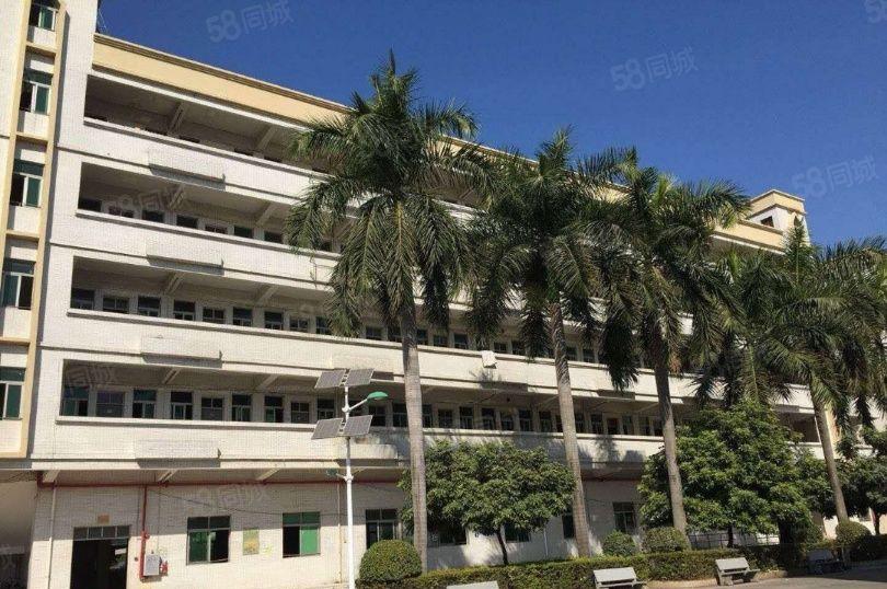 沙田镇独院花园式厂房出租1160平可按客户要求随意分割。