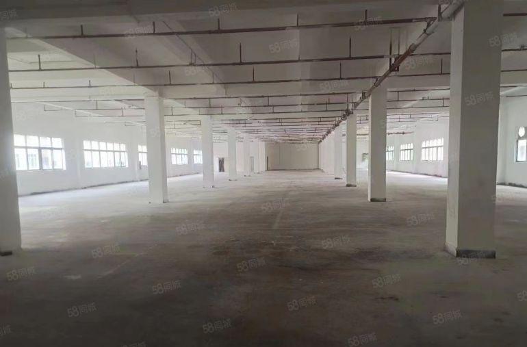 沙田独门独院全新厂房，空地大交通好！