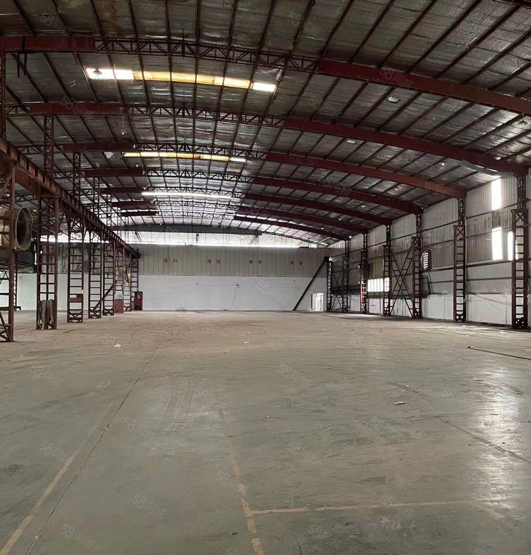 钢结构独院厂房出租，占地5000平，滴水8米