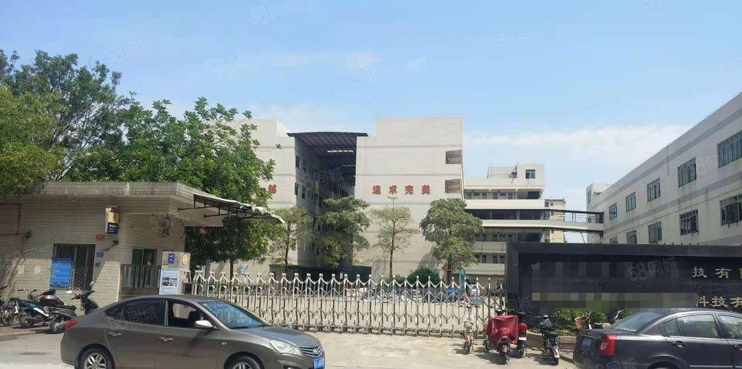 沙田镇新出一楼2000平原房东钢构厂房，空地大，好进大车出租