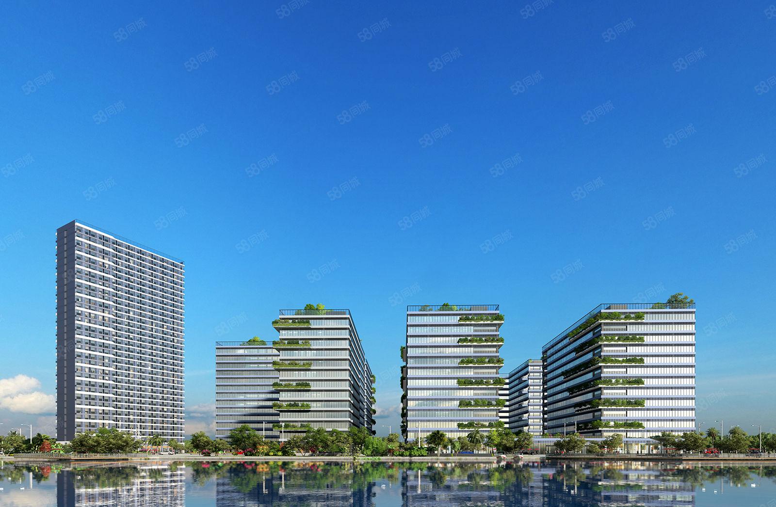 信鸿湾区智谷滨海湾全新厂房开发商直租均价20元月