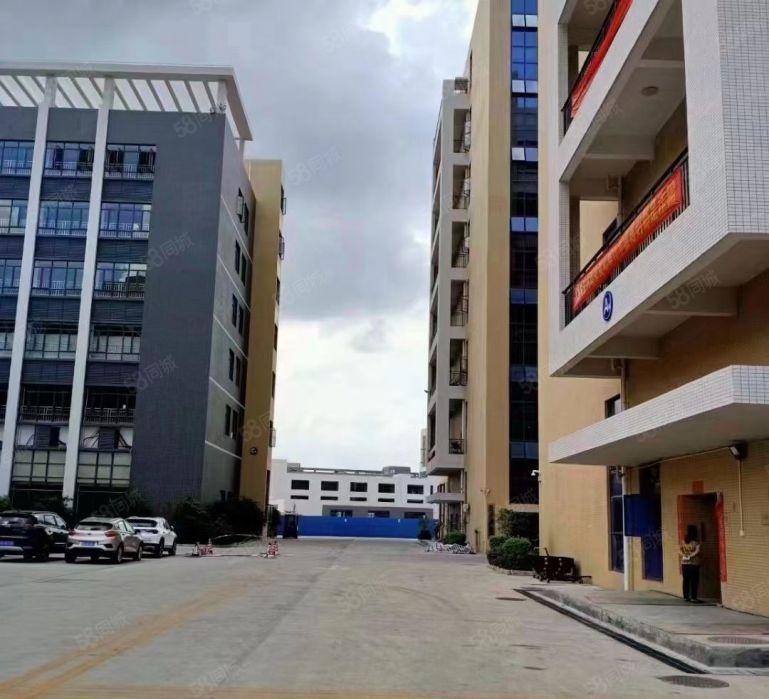 沙田靠虎门实际面积9元厂房出租