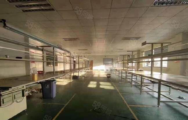 原房东独院标准厂房三层6000方 带现成办公室与宿舍工业用地