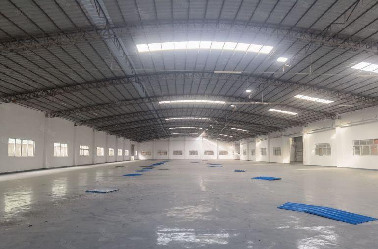 沙田（实际面积）6000平米单一层独门独院厂房出租靠港口大道