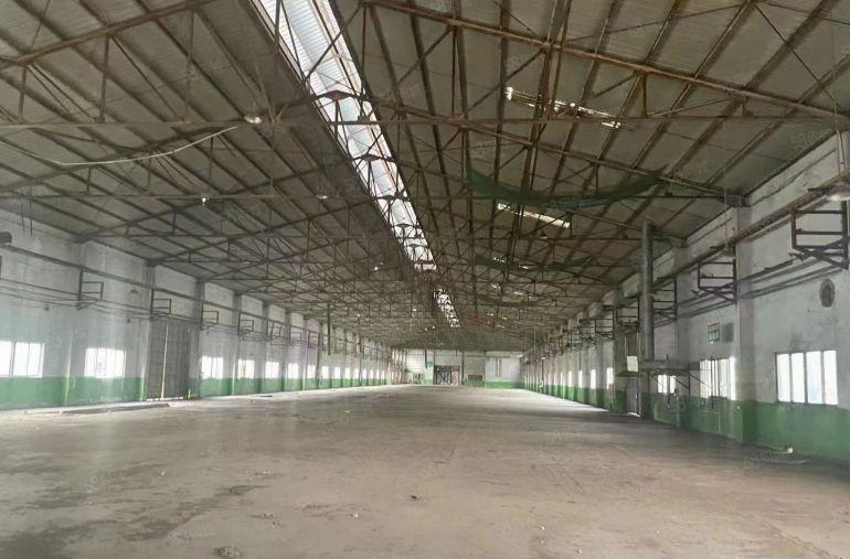 （任意分租）独院钢构厂房76000方低价租，带红本，空地超大