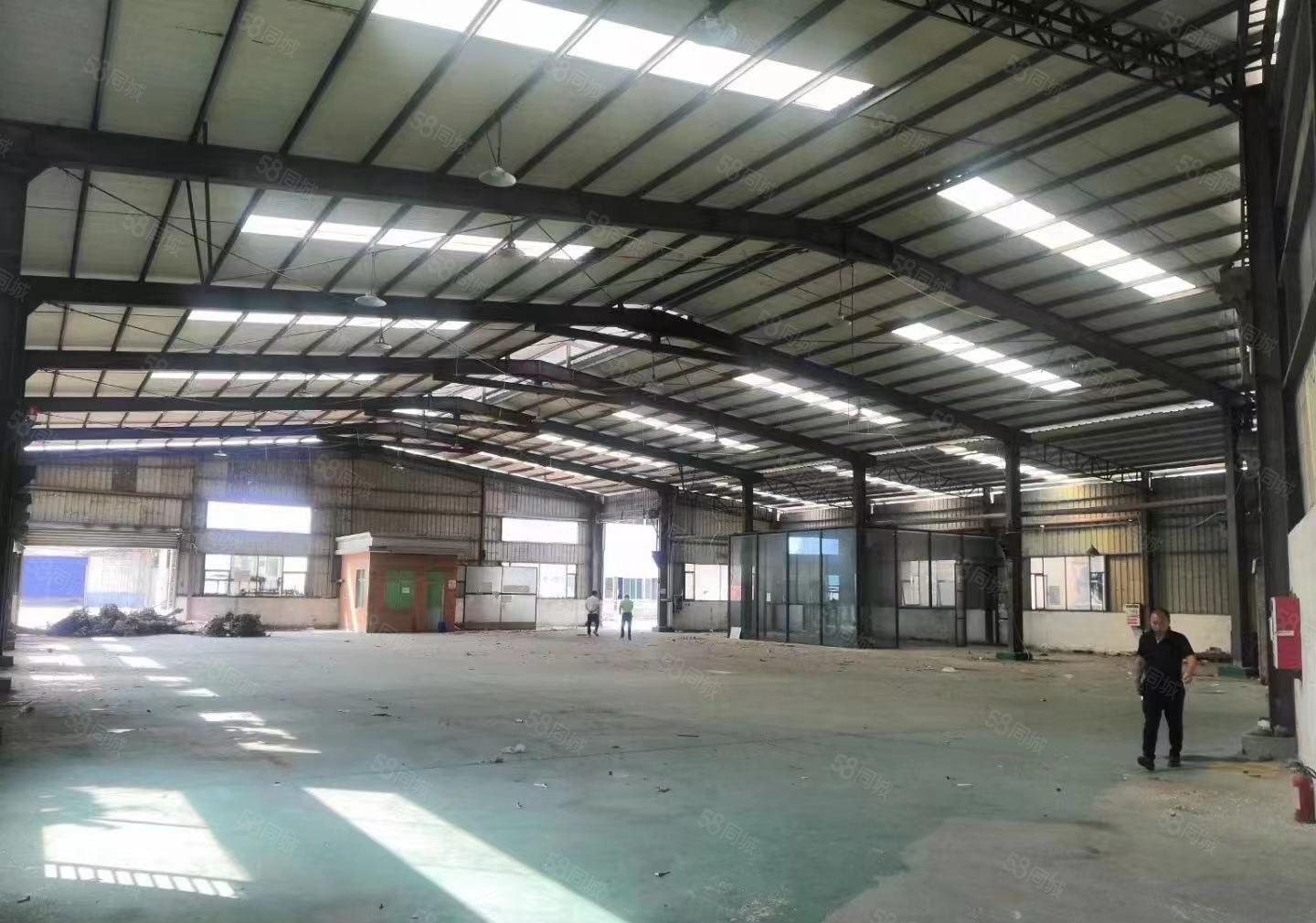 沙田镇超高超靓重型单一层钢构厂房，砖墙到顶10米高