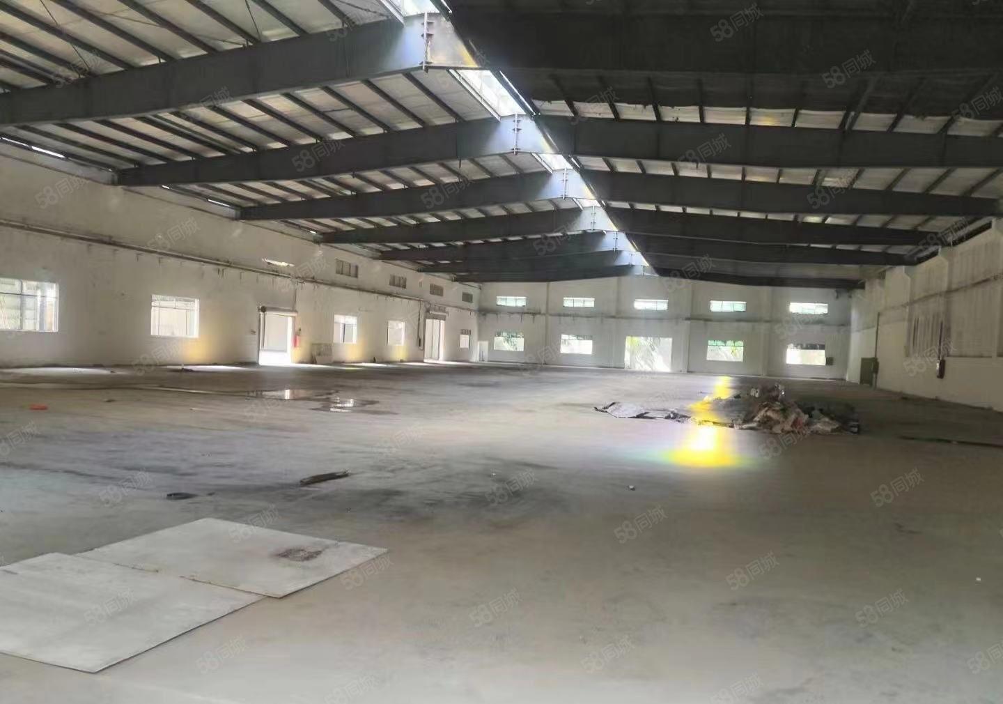 沙田镇超高超靓重型单一层钢构厂房，砖墙到顶10米高