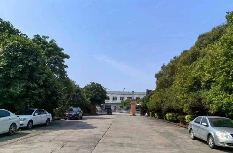 沙田环保路新空出园林式厂房出租适合钣金喷涂五金机加工注塑仓库