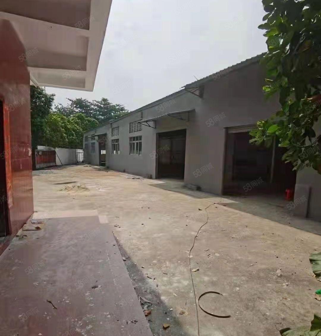 沙田镇新出一楼2000平原房东钢构厂房，空地大，好进大车出租