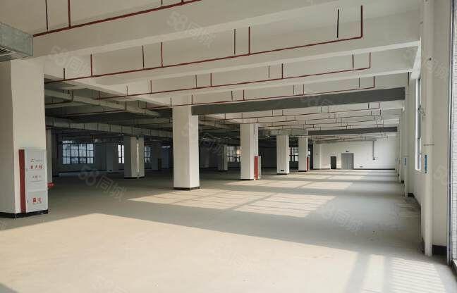 原房东独院标准厂房出租15000平方带红本证件齐全