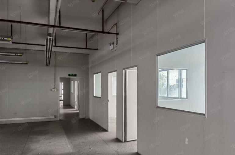 沙田镇杨公洲原房东精装办公 现成水电 独院厂房出租可分租