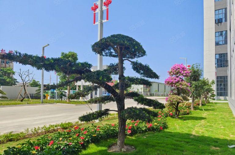 麻涌全新食品产业园出租，可分租