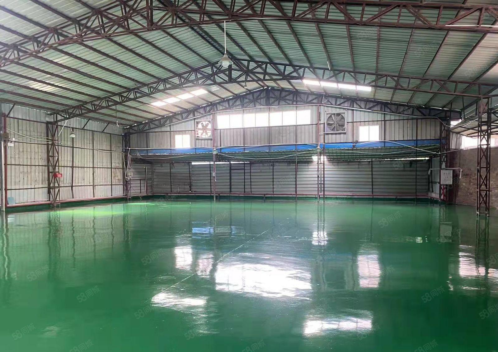 麻涌原房东小独院1000平方出租，小加工小仓库