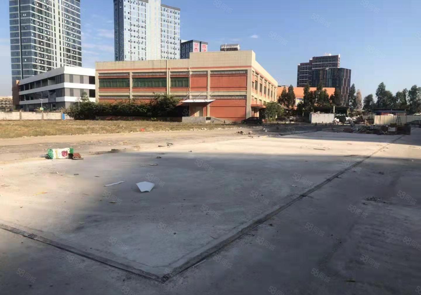 麻涌原房东出租，标准厂房5000平，已硬化空地10000平