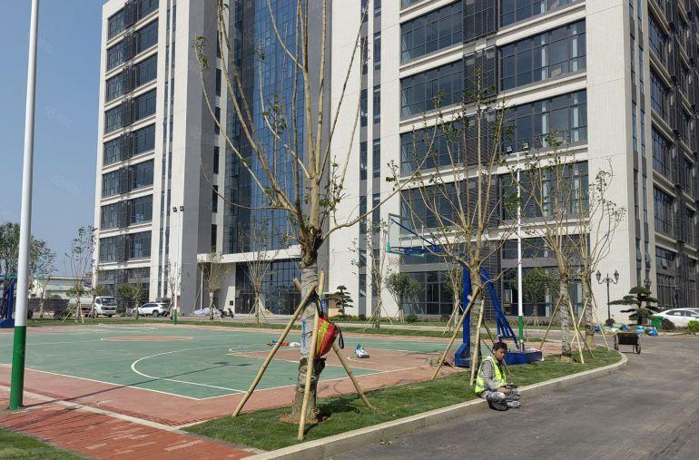 麻涌全新厂房出租可分租2000或4000或8000平方