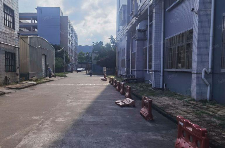 二楼比空地还便宜的厂房1300平方只要10块一平方，空地很大