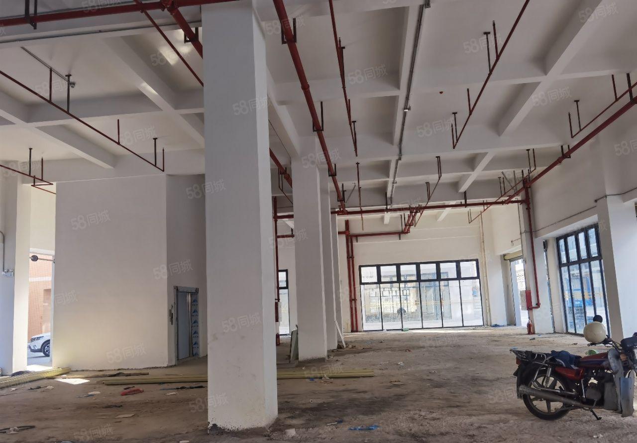 麻涌靠近广州黄埔周边原房东全新厂房出租可分租仓库出租