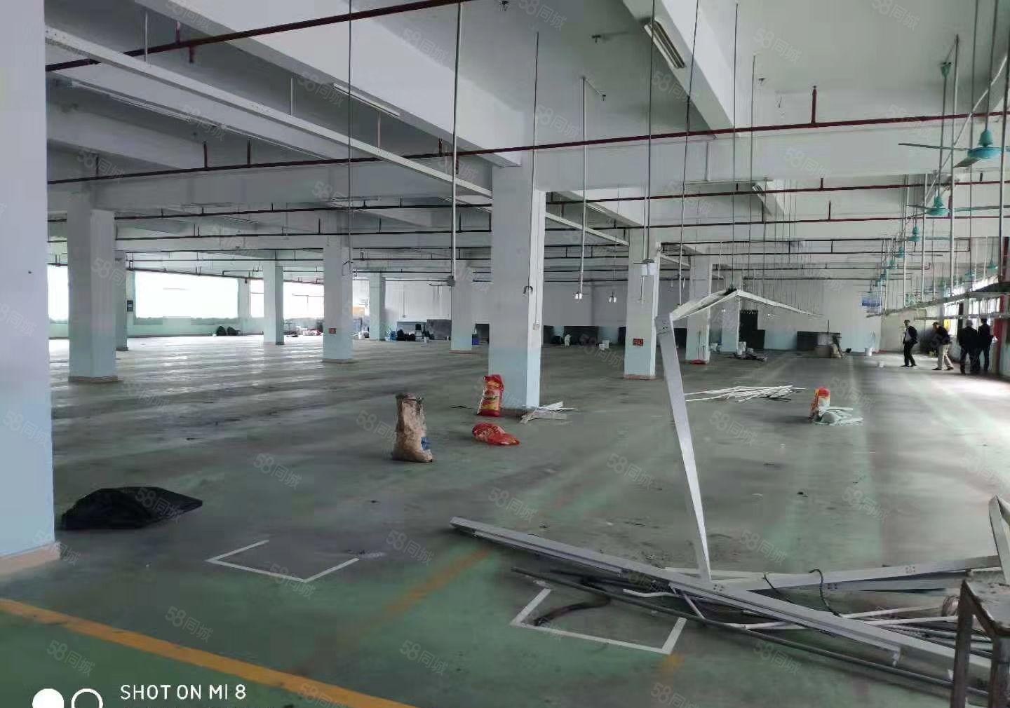 麻涌低价厂房出租可分租，一千平方以上随意分租