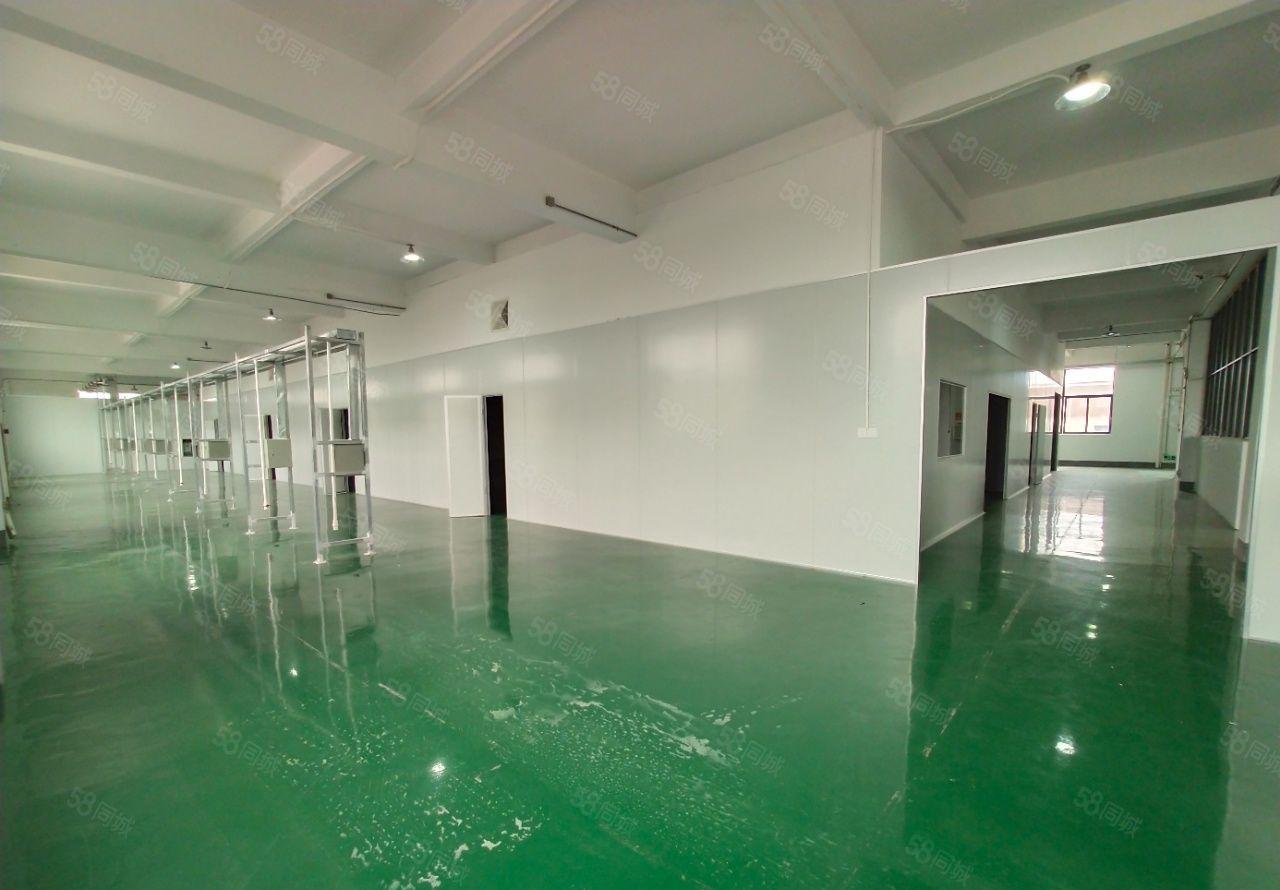 麻涌镇独院厂房仓库出租11000平红本厂房国有土地