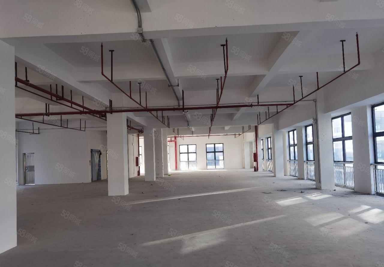 麻涌靠近广州黄埔周边原房东全新厂房出租可分租仓库出租