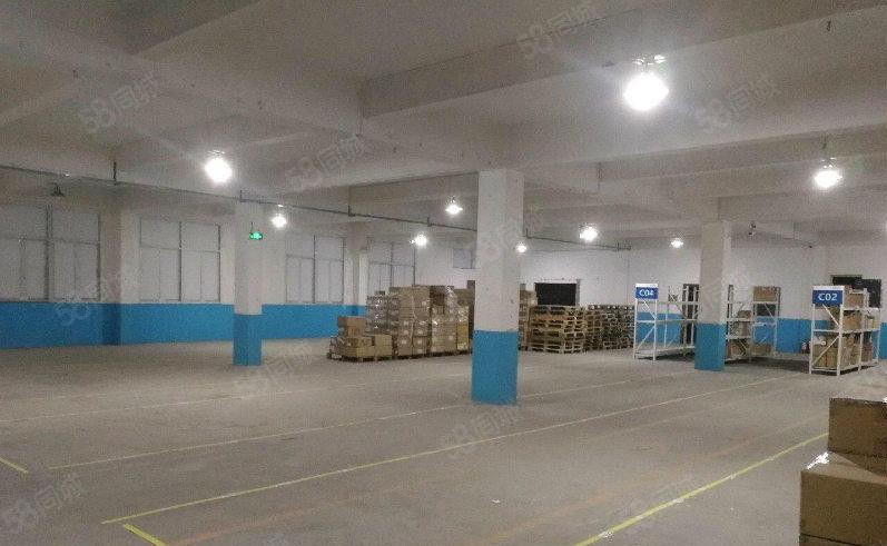 麻涌出租2800平方标准单层厂房 可做厂房或仓库 欢迎来电