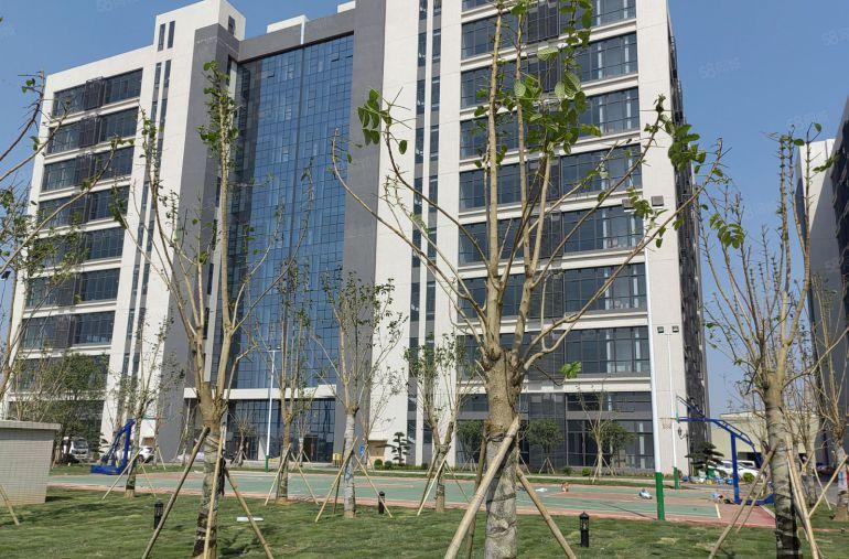 麻涌全新厂房出租可分租2000或4000或8000平方