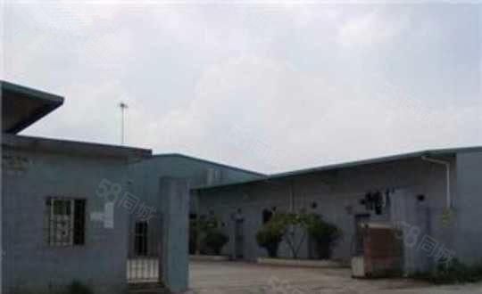 麻涌经典独门独院厂房3500平方招租 空地大 欢迎来电