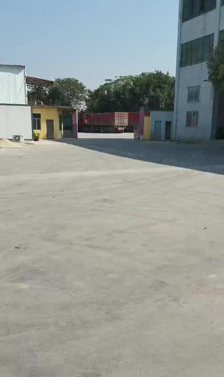 麻涌镇水乡大道旁厂房丶仓库低价出租（可任意分租）