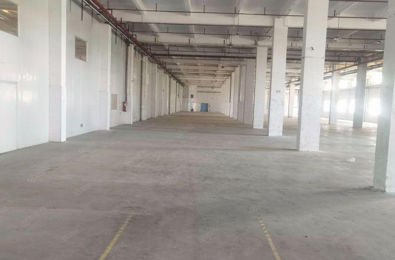 二楼比空地还便宜的厂房1300平方只要10块一平方，空地很大