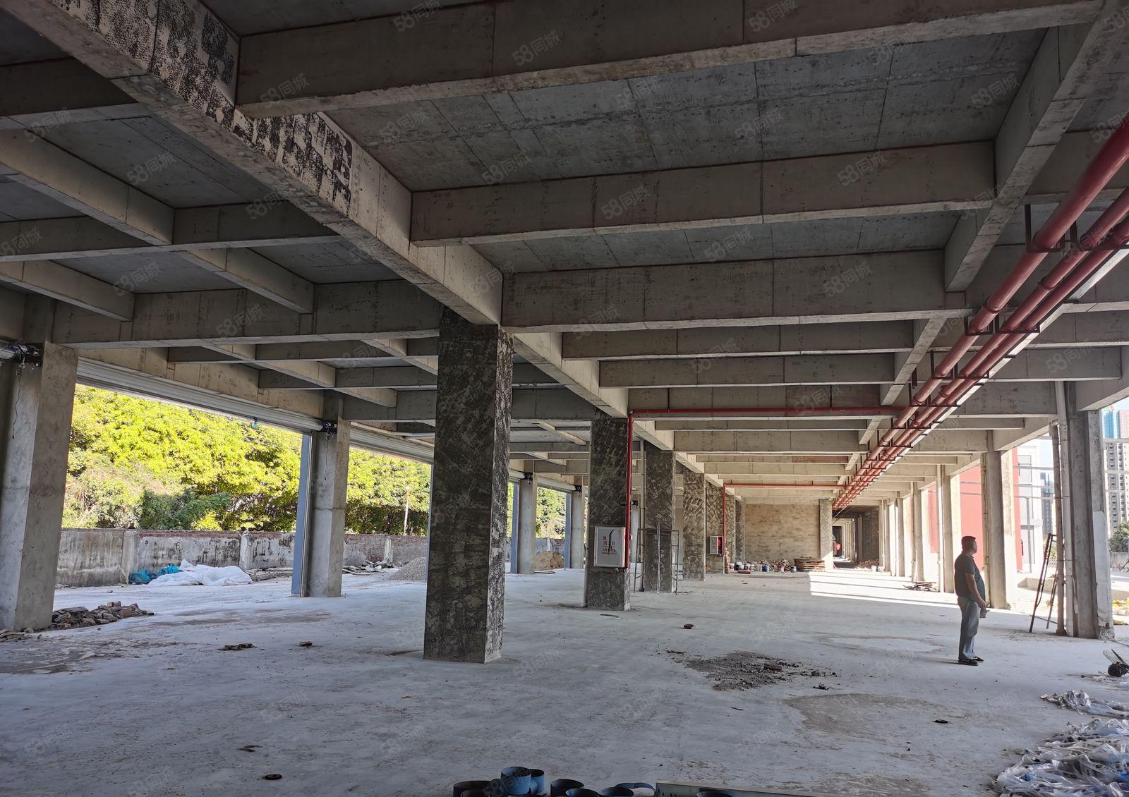 麻涌镇全新丙二类消防独院厂房出租有超大空地可1000平起租