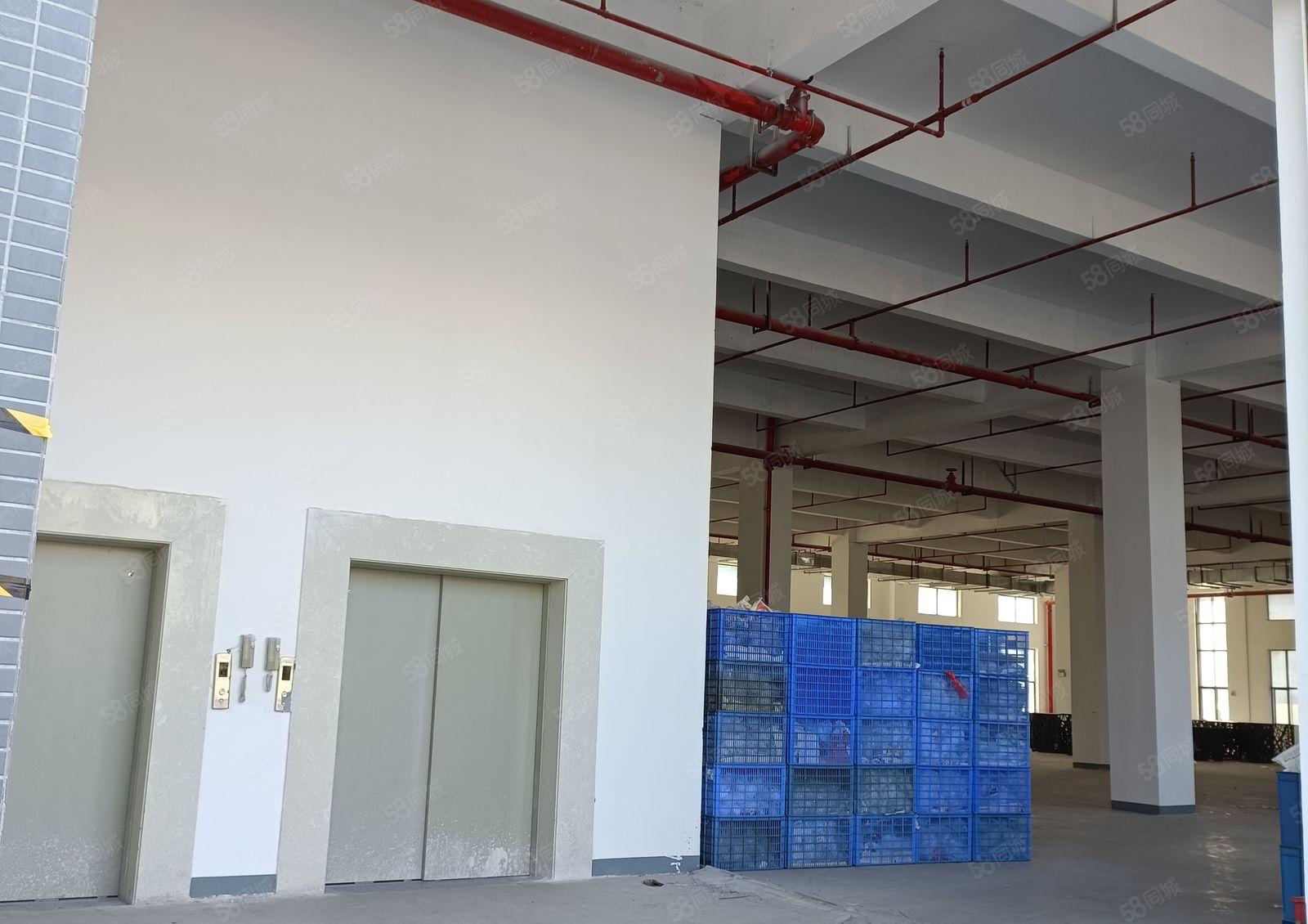 东莞麻涌高新智能电子产业园招商介绍