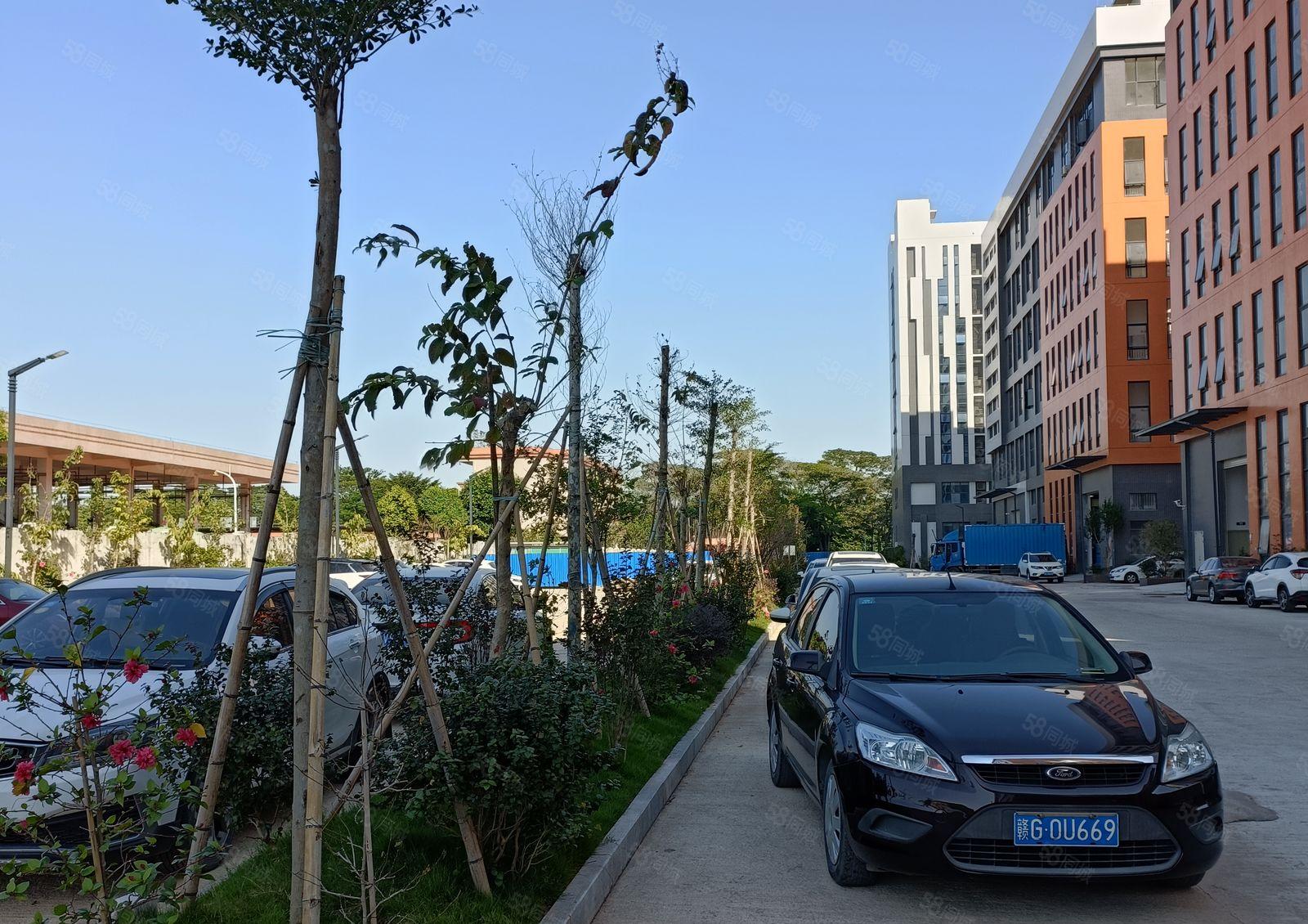 东莞麻涌高新智能电子产业园招商介绍