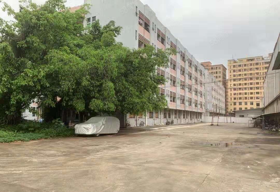 麻涌镇新出低价独院标准厂房出租面积可以分租靠近高速路口形象好