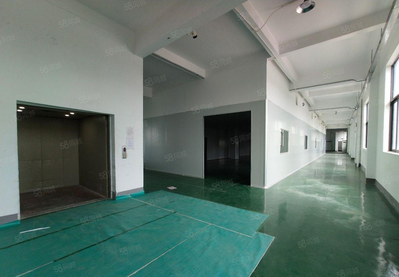 麻涌镇独院厂房仓库出租11000平红本厂房国有土地