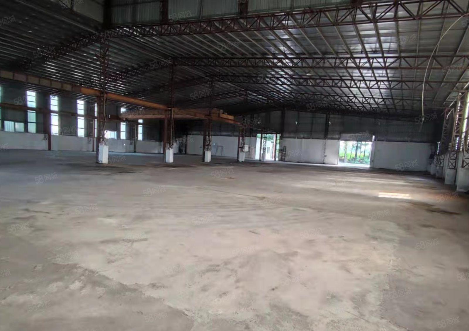 麻涌单一层厂房出租，只要17元一平方，现已经空出，随时可租可