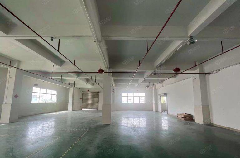 桥头小面积精装修厂房550平！独院原房东出租电子包装蓝牙仓库