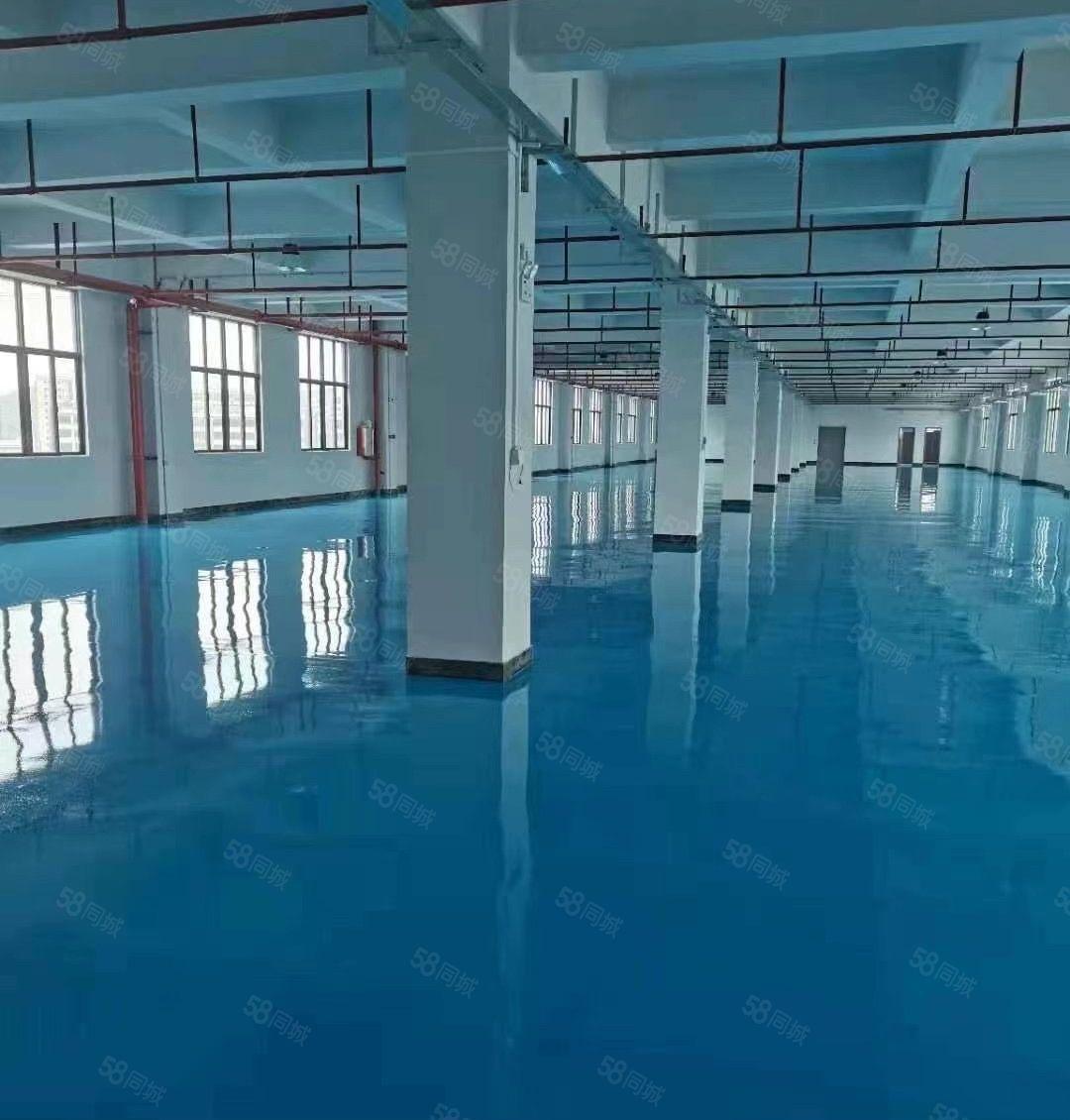 桥头镇邓屋村新出精装原房东分租二楼2000平方米