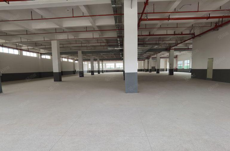 桥头镇整层2500平方全新国有红本高新工业园厂房出租可分租