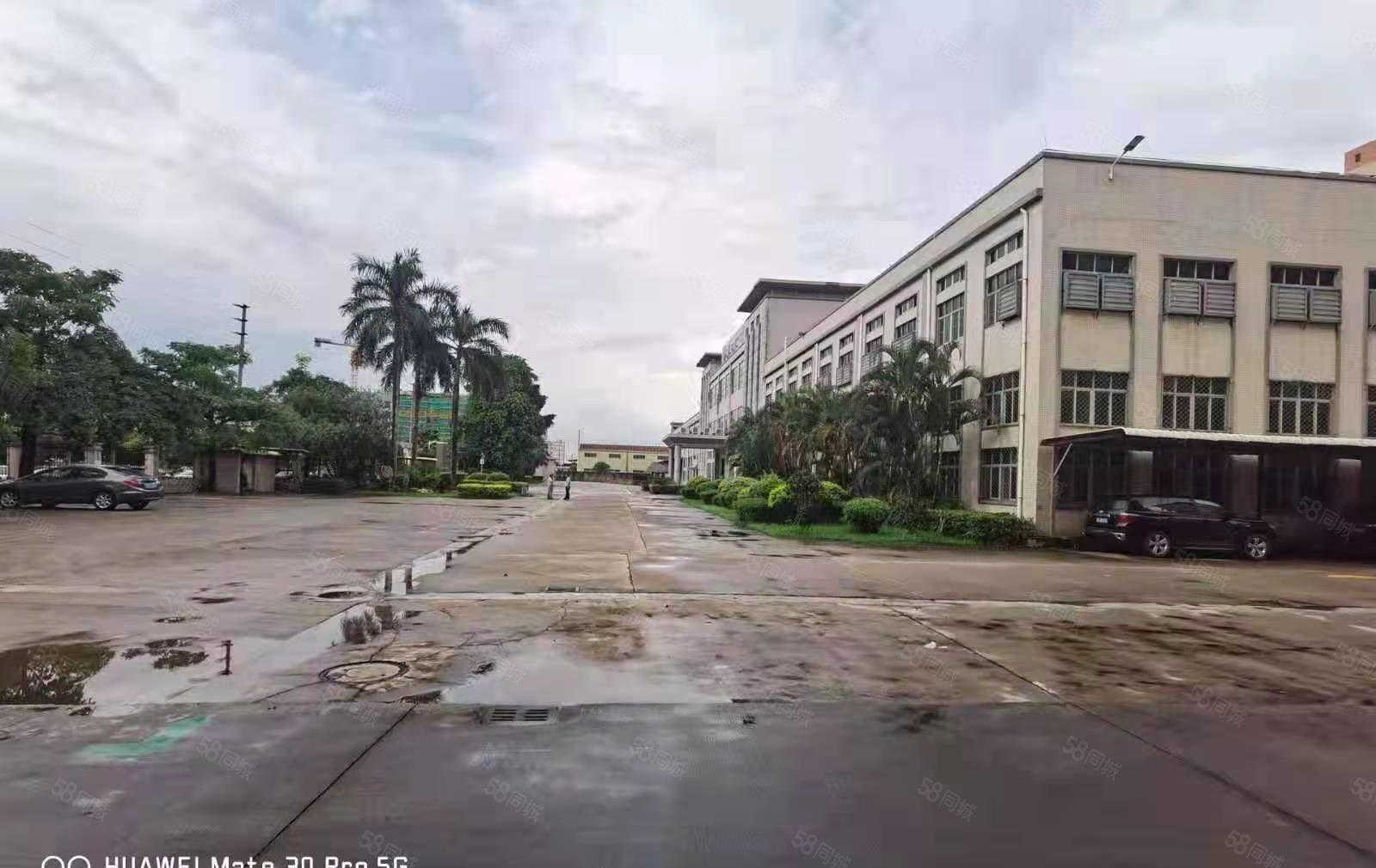 上市公司厂房总面积38000平米桥头镇新出红本国土双证