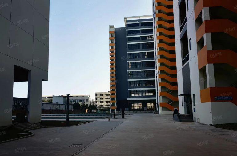 石排靠桥头东部快速红本双证双边卸货平台上市公司形象空地1万平