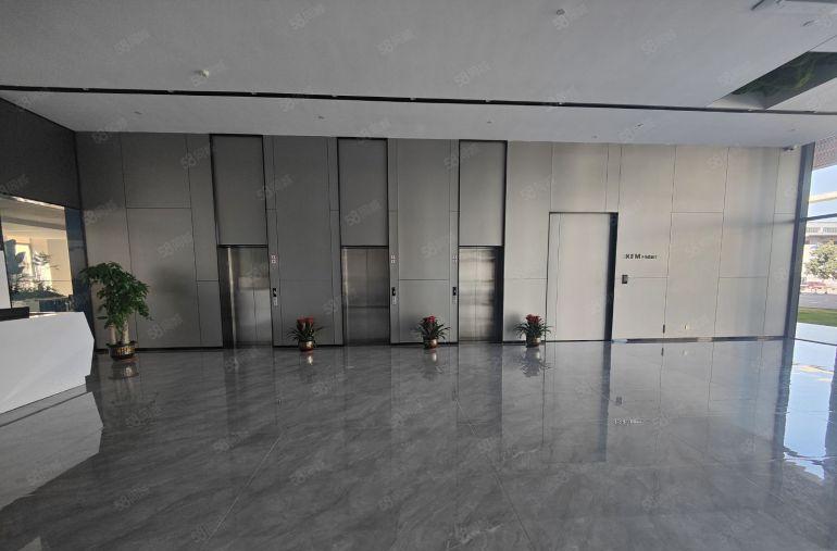 楼上9元可谈桥头镇原房东全新厂房出租实际面积园区空地大可分租