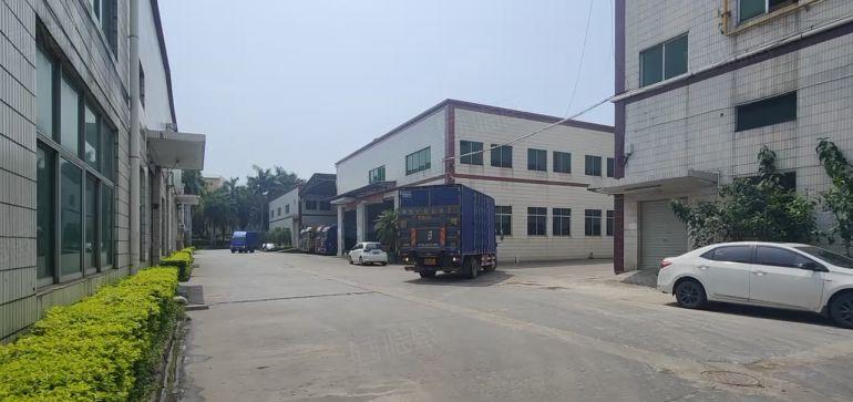 桥头东江新出独栋钢结构厂房3800平方滴水9米低价出租