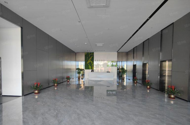 楼上9元可谈桥头镇原房东全新厂房出租实际面积园区空地大可分租